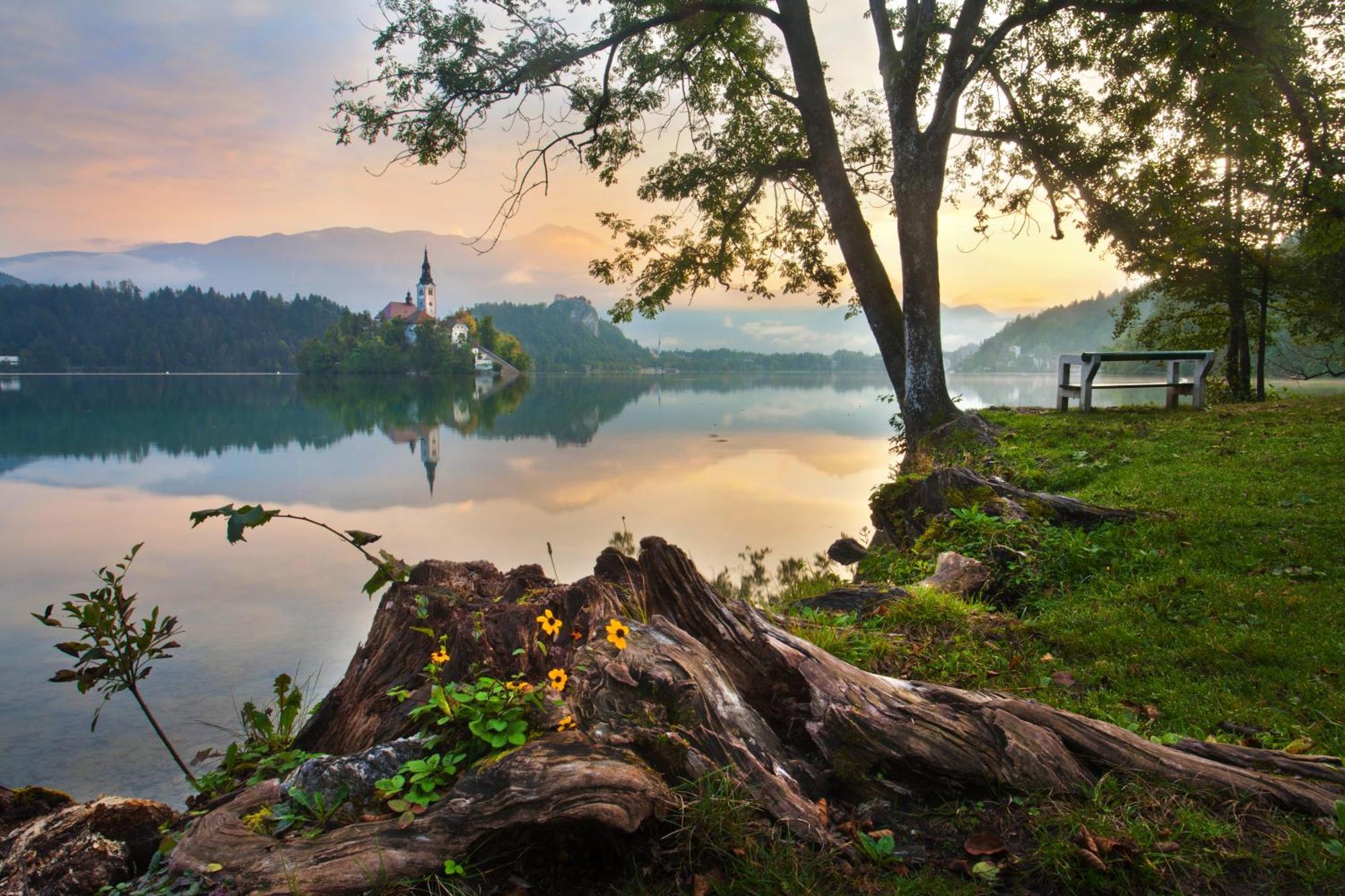 Apartments Valant Bled Dış mekan fotoğraf